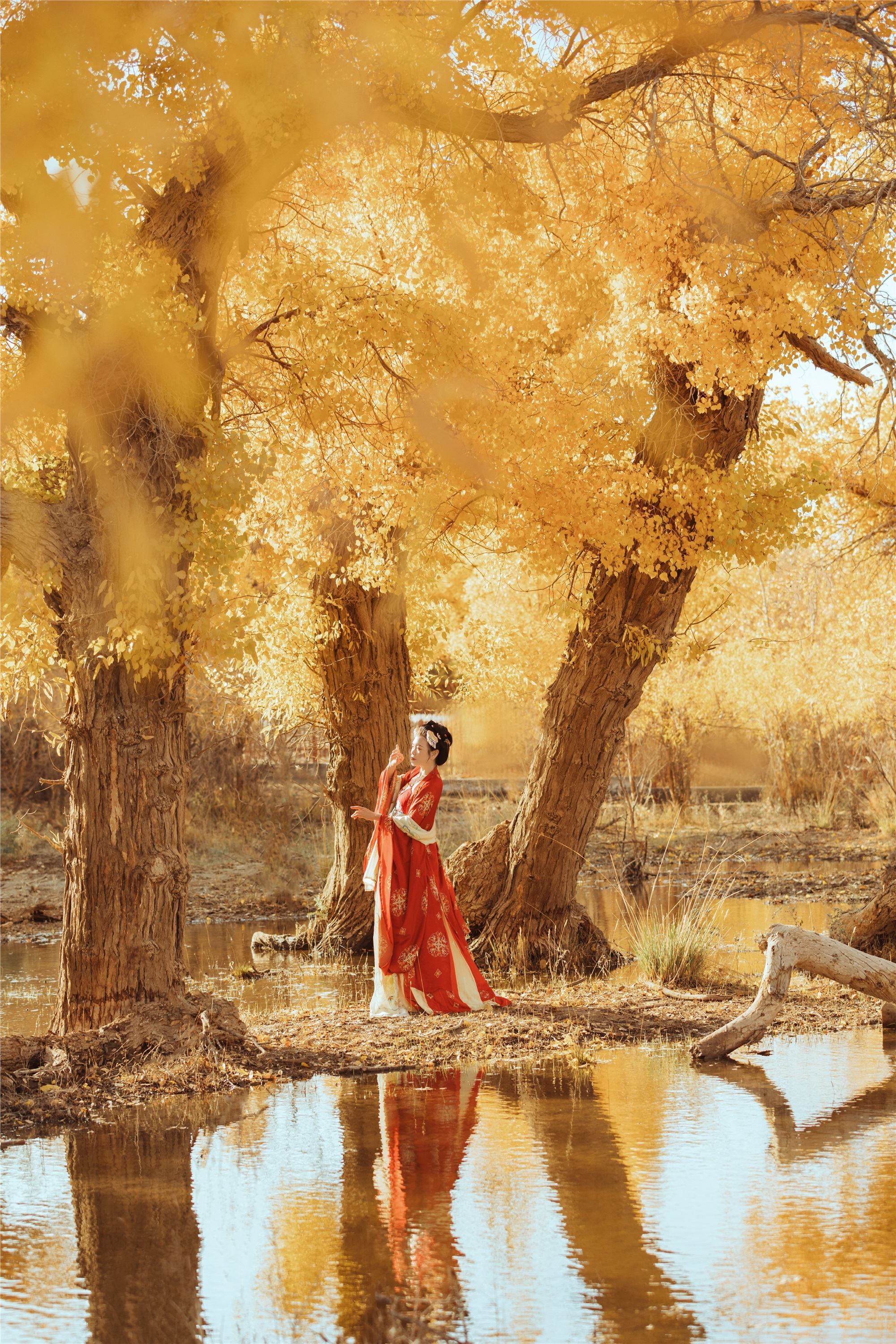 YITUYU艺图语 2021.09.03 岁月不败美人 知秋